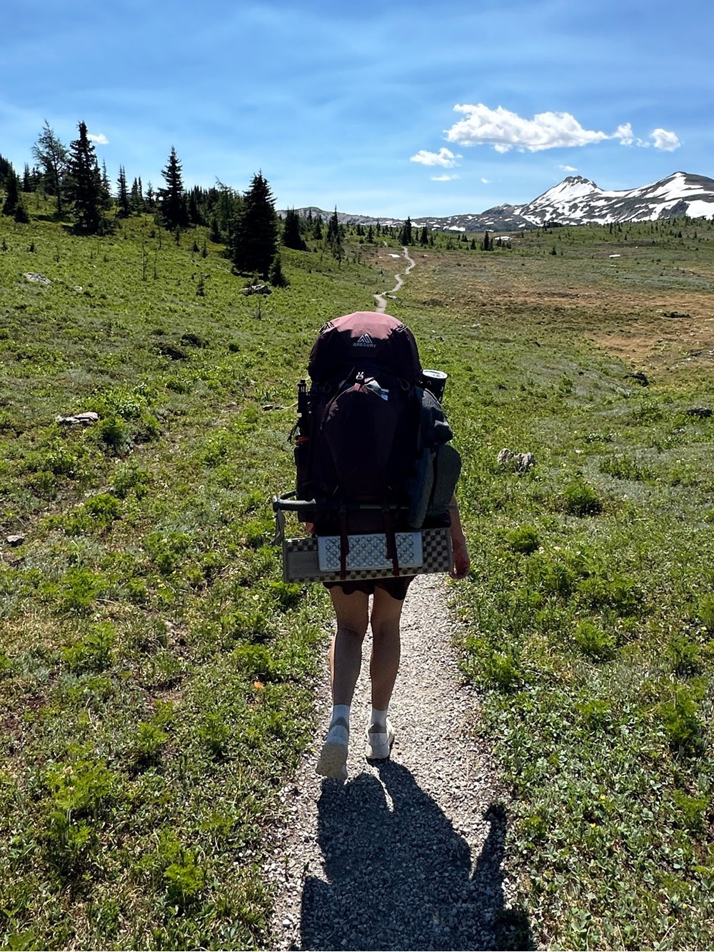Deva 70L Gregory Backpack - Picture 5 of 5